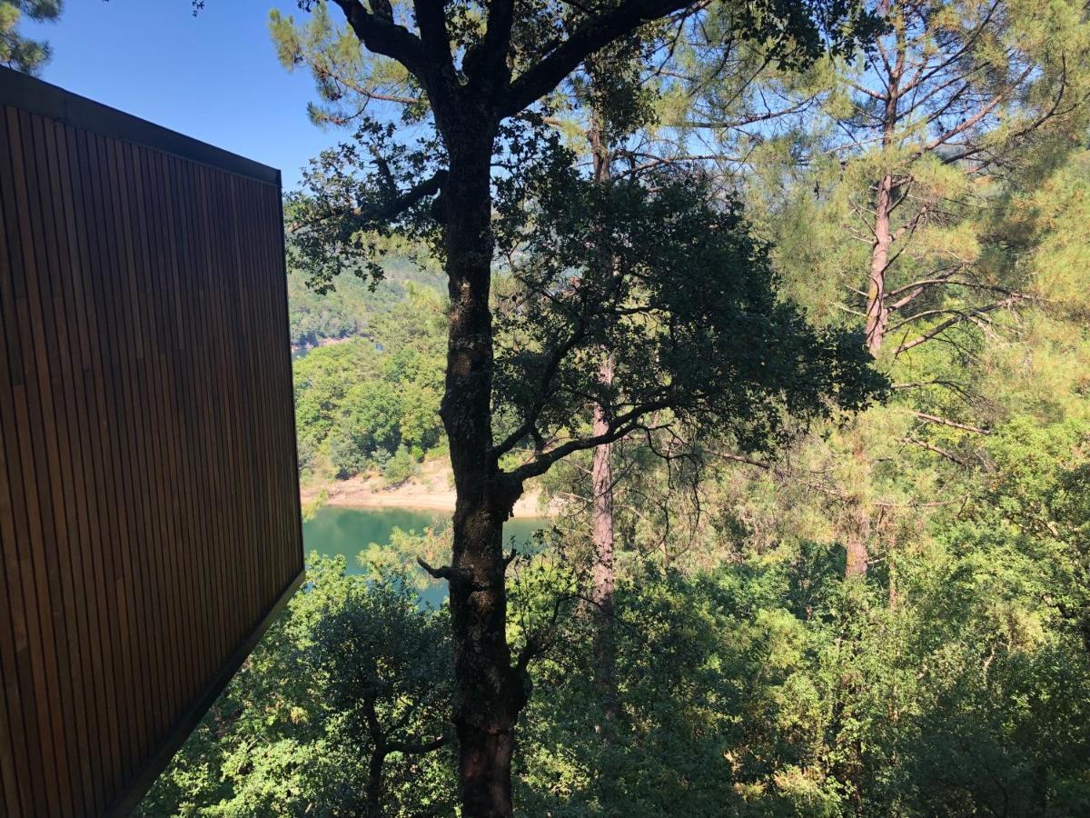 Sobreiro Valley - Casa Firmino Vieira do Minho Dış mekan fotoğraf