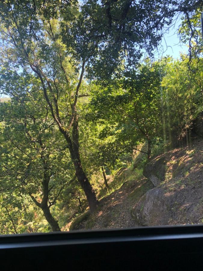 Sobreiro Valley - Casa Firmino Vieira do Minho Dış mekan fotoğraf