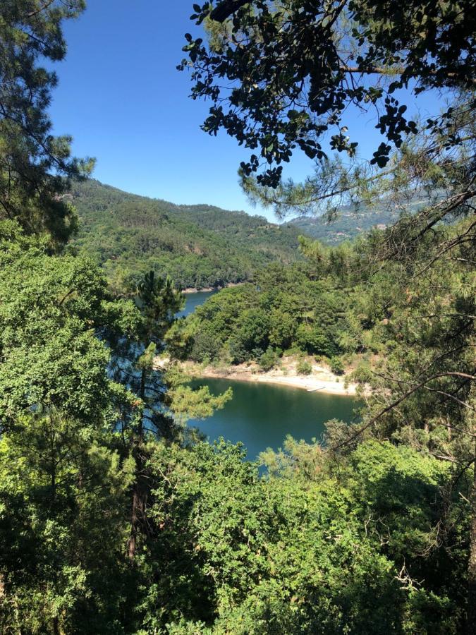 Sobreiro Valley - Casa Firmino Vieira do Minho Dış mekan fotoğraf