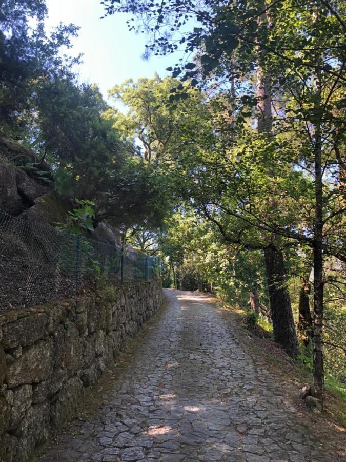 Sobreiro Valley - Casa Firmino Vieira do Minho Dış mekan fotoğraf