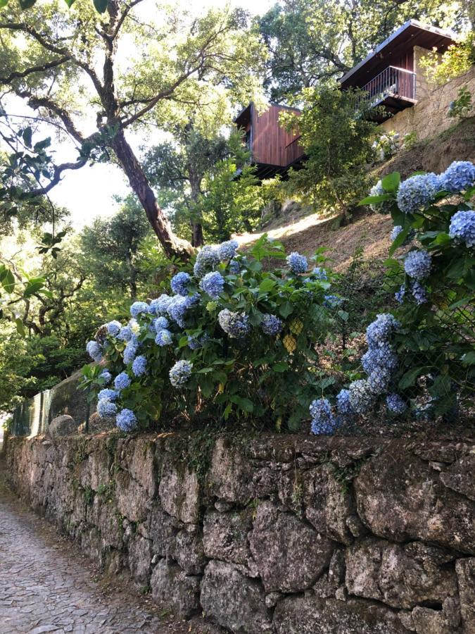 Sobreiro Valley - Casa Firmino Vieira do Minho Dış mekan fotoğraf